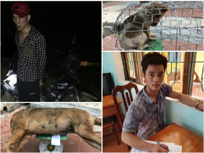 Công an huyện Lệ Thủy bắt giữ 02 đối tượng trộm động vật nuôi
