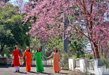 Người dân Đà Lạt tận hưởng vẻ đẹp của mai anh đào.
