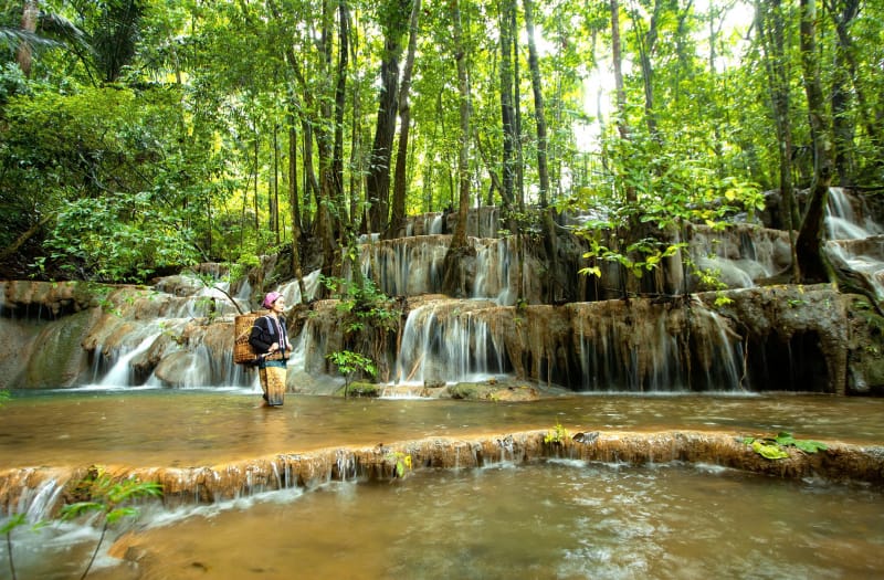 Khám phá Vườn địa đàng.