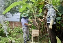 Từ nguồn vốn vay giải quyết việc làm nhiều hộ dân đã mạnh dạn đầu tư phát triển sản xuất, nâng cao thu nhập.Hơn 3.000 lao động được hỗ trợ vay vốn giải quyết việc làm