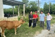 Nhiều hộ nghèo được hỗ trợ sinh kế để phát triển sản xuất, vươn lên thoát nghèo.