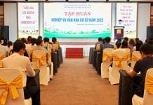 Quang cảnh lớp tập huấn.